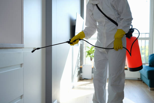 Best Airborne Mold Testing  in Seaville, NJ