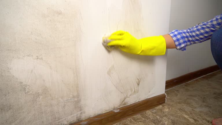 Best HVAC Mold Inspection and Cleaning  in Seaville, NJ
