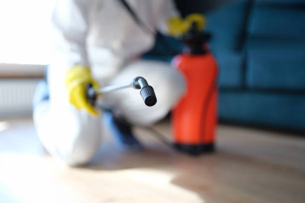 Best Crawl Space Mold Remediation  in Seaville, NJ